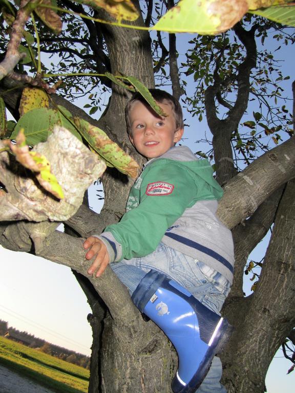 Baby- Und Kinderhof Aicherbauer Seeham Exterior foto