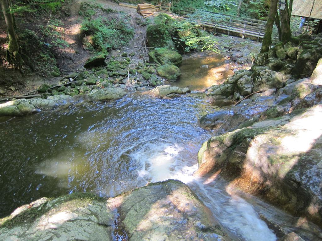 Baby- Und Kinderhof Aicherbauer Seeham Exterior foto