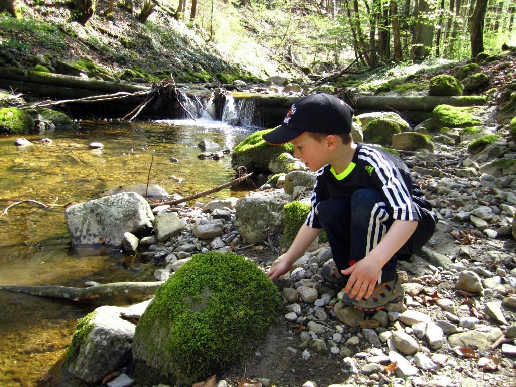 Baby- Und Kinderhof Aicherbauer Seeham Exterior foto